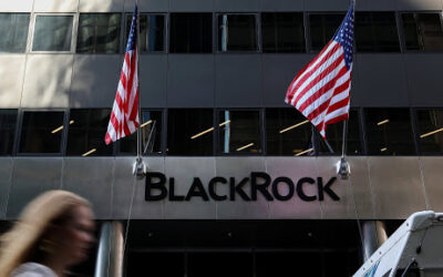 Private credit boom lures ultra-wealthy as PE sentiment cools, says BlackRock