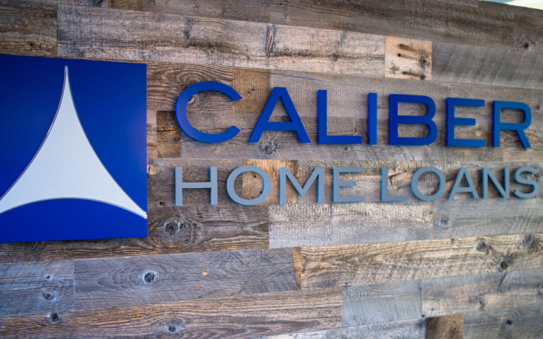 PE-backed Lenders pull IPOs even as mortgage market thrives