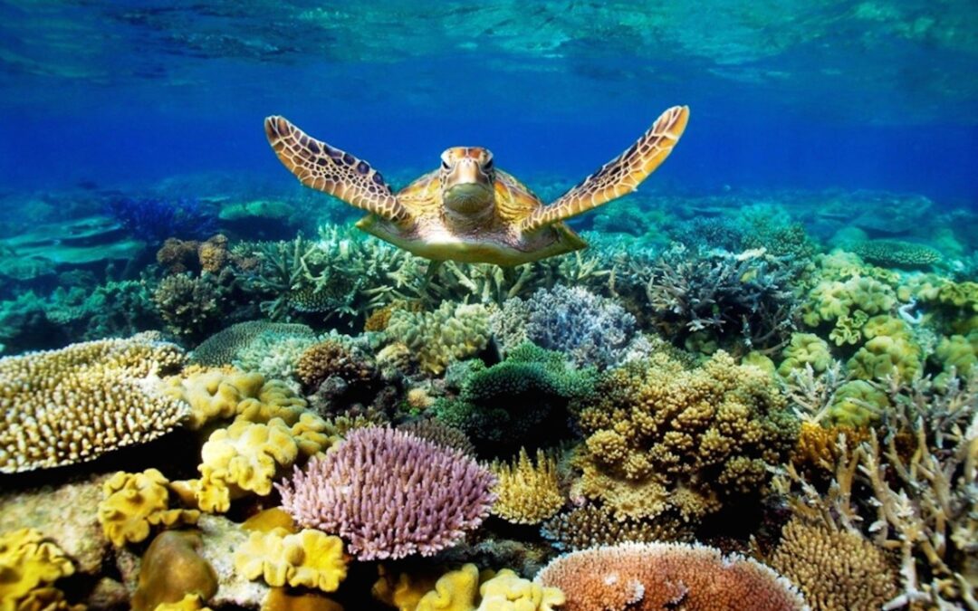 UK’s first seas impact investment fund launches