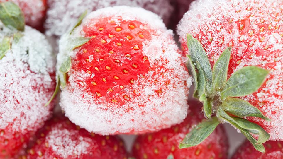Cerberus Capital and Provender team up to create multibillion-dollar US cold storage real estate portfolio