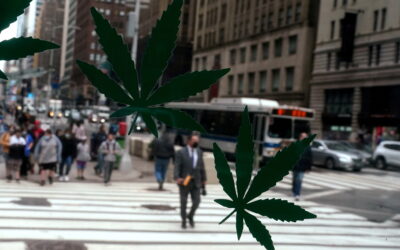 Cannabis site Leafly to go public via PE-owned SPAC