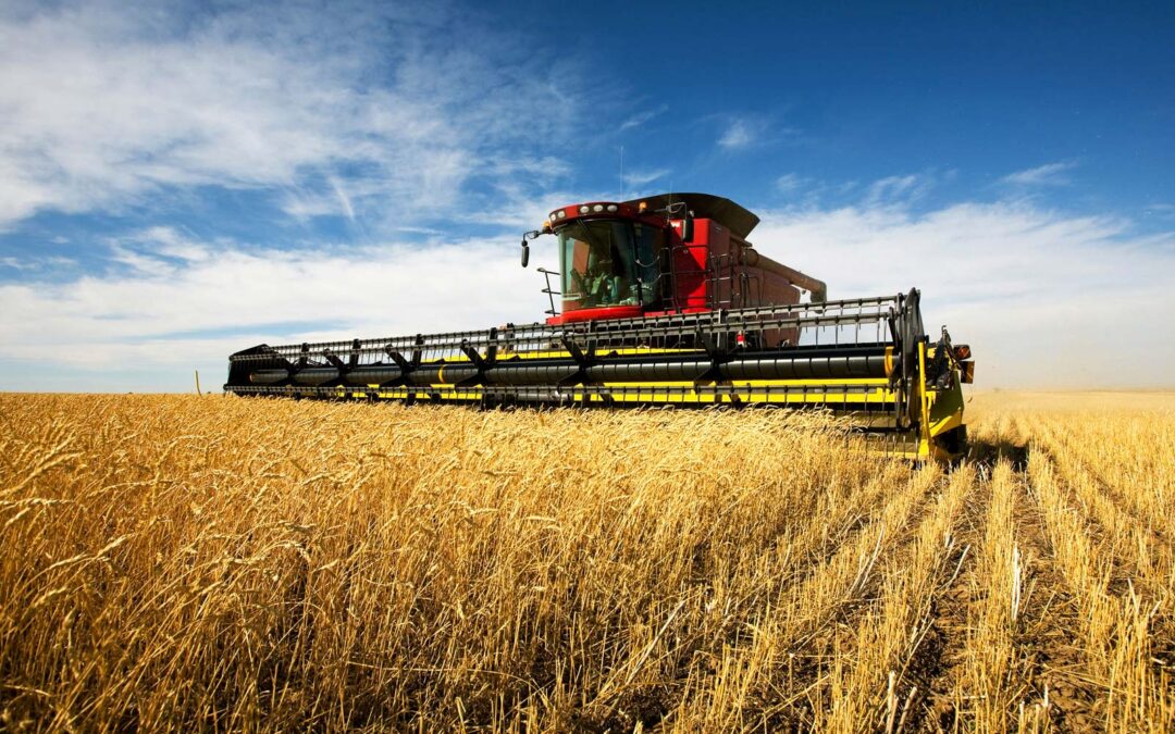 Macquarie Agriculture’s Lawson Grains sells to PE-firms at a valuation ‘north of $550m’