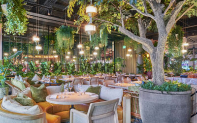 Former Conran restaurant empire D&D to change hands in £100m Private Equity takeover