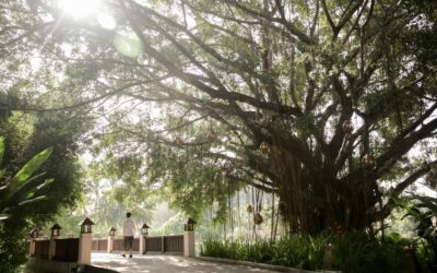 Banyan Capital Partners Completes the Closing of its Committed Capital Fund at $216m