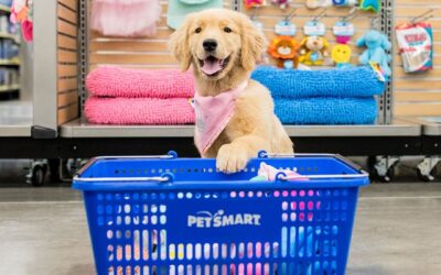 KKR SPAC is Said to Weigh Deal for PetSmart at $14bn