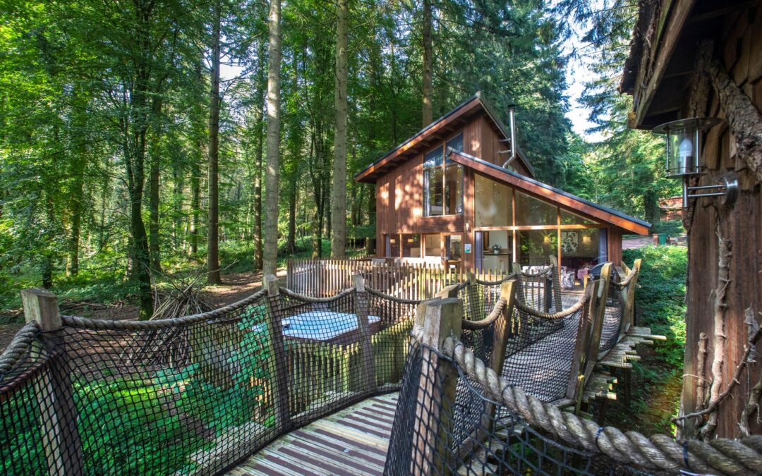 Phoenix Equity Partners-backed Forestry Commission to cash in with £250m sale of eco-cabin giant