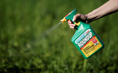 Bayer to sell pest control unit for $2.6 bln to Cinven
