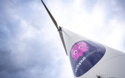 Clean Energy Investor Octopus Raises $550m from Existing Investors and CPP Investments to Fuel Global Expansion