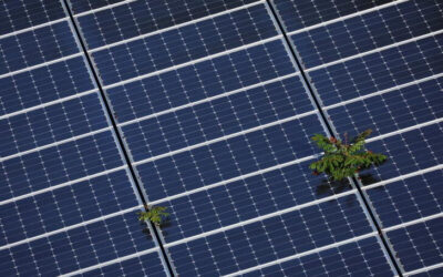 Electriq Power to go public in U.S. via $495m SPAC deal