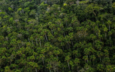 Sustainable Investor Astarte Seeks $350m for New Fund