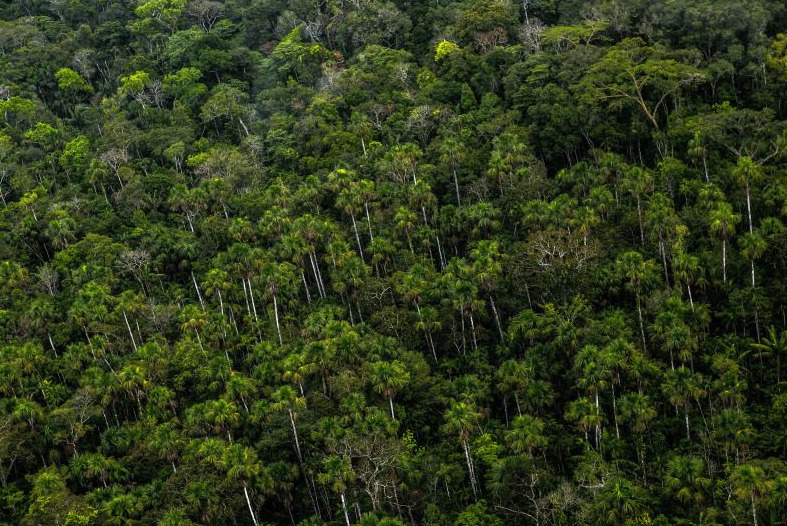 Sustainable Investor Astarte Seeks $350m for New Fund