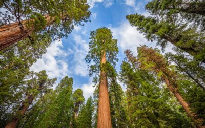 American Pacific Group closes Fund II at $700m hard cap