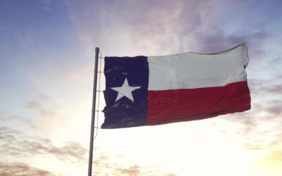 Texas County & District commits $265m to private equity