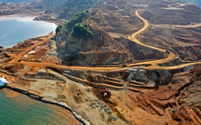 Hedonova Achieves Remarkable Profit, Yet Exits Indonesian Nickel Investment Due to ESG Concerns
