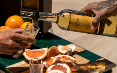 Bacardi overtakes L Catterton to Acquire ILEGAL Mezcal for $130m