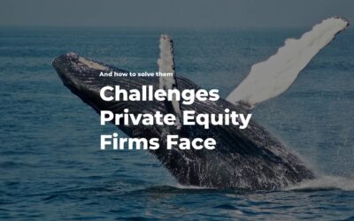 Private Equity firms adapting to challenging market environment