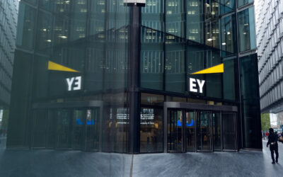 Ex-EY and PwC leaders team up with Warburg Pincus to disrupt UK consultancy market