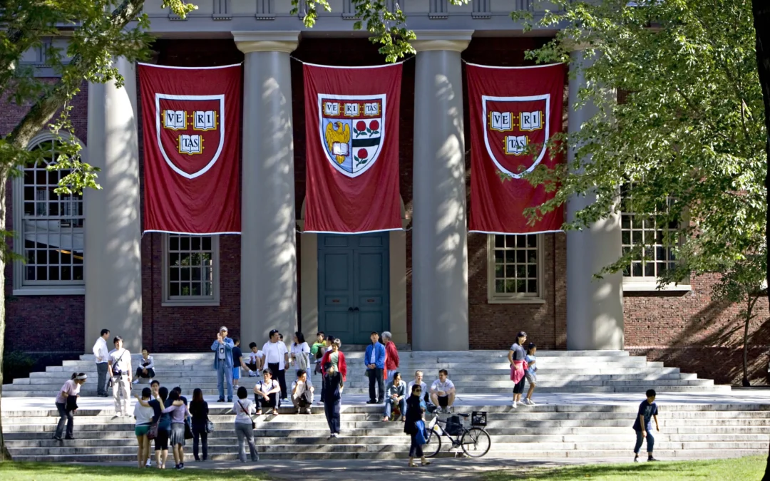 Harvard eyes $1bn private equity sale to boost liquidity and rebalance $53bn endowment