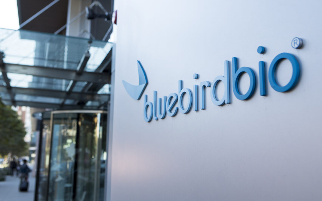 Carlyle and SK Capital boost Bluebird Bio bid, offering flexible payout terms