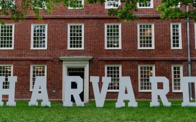 Harvard lab secures $39m private equity lifeline from İşbank arm to launch biotech venture