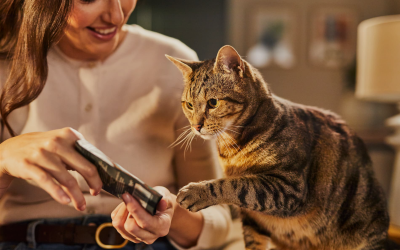 Partners Group acquires premium pet food business MPM from 3i