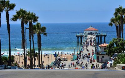 Pacific Avenue Capital Partners to acquire LKQ’s $410m Pick Your Part unit