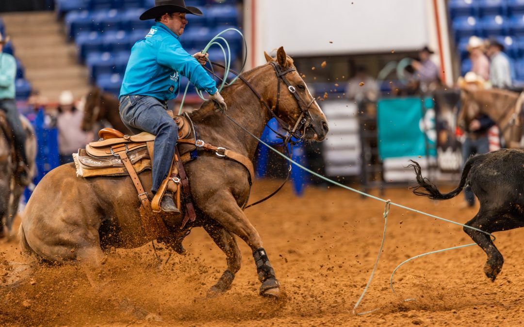 CVC expands Global Sport Group with first new league deal in US equestrian sports