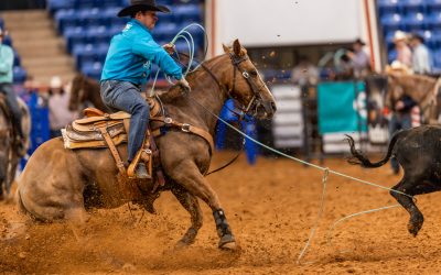 CVC expands Global Sport Group with first new league deal in US equestrian sports