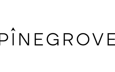 Pinegrove raises $2.2bn to capitalise on venture secondaries boom